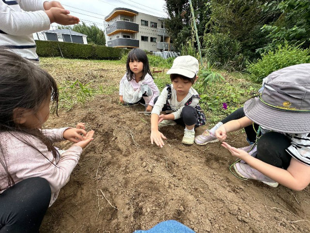 クラスだより　ひばり組