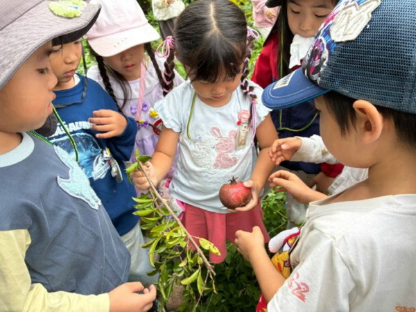 クラスだより　ひばり組