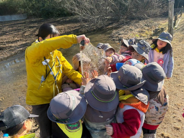 クラスだより　ひばり組